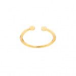 Gold Plated