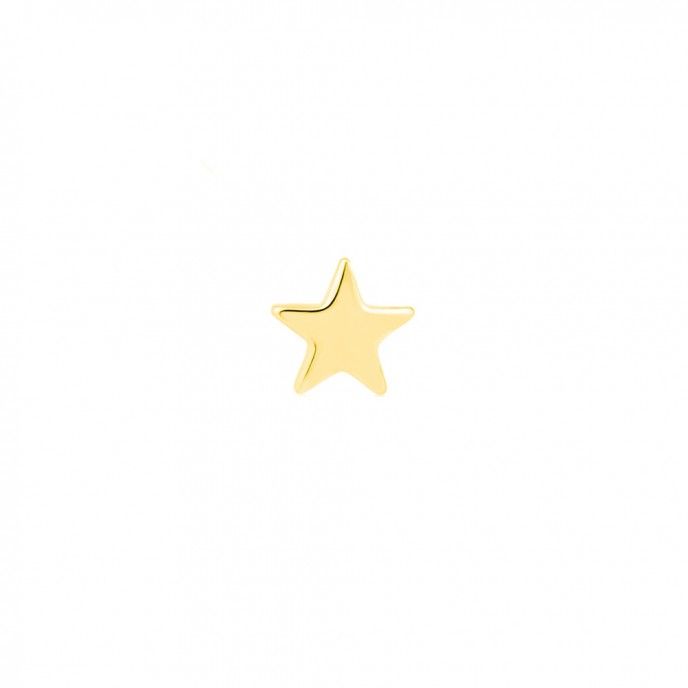 PENDIENTE ESTRELLA