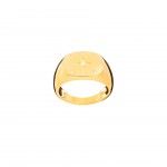 Gold Plated