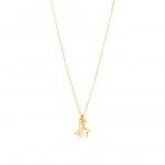 Gold Plated