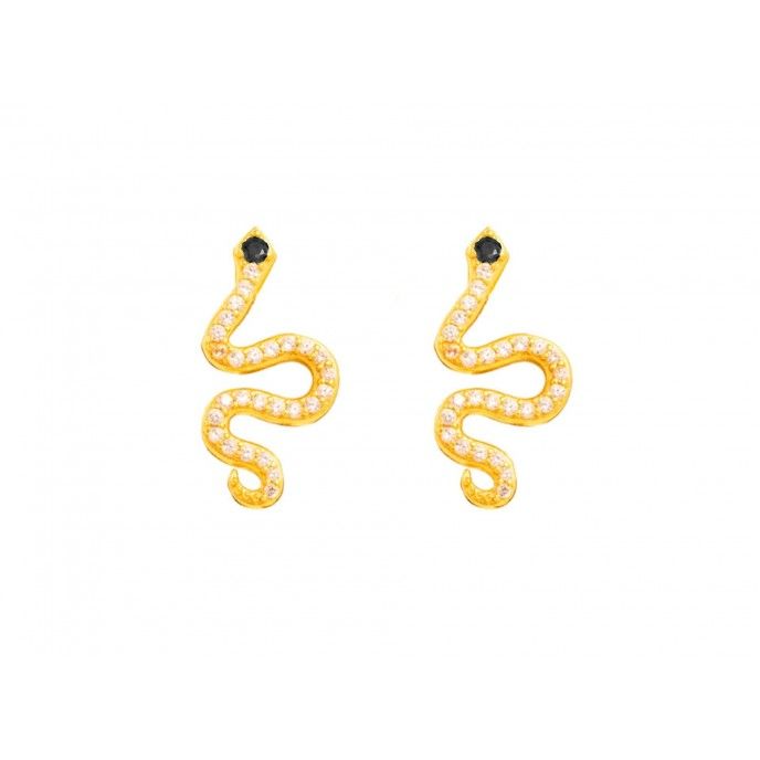 PENDIENTES COBRA