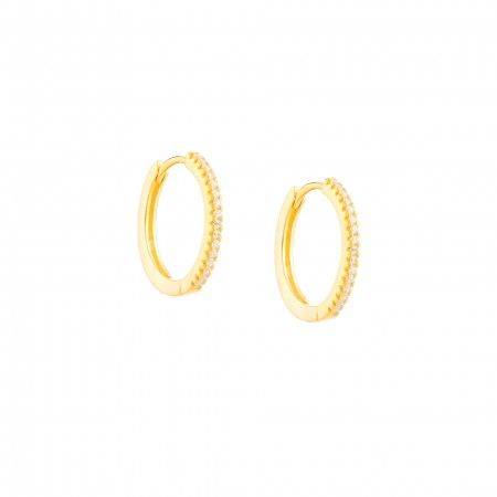 SHINY HOOPS
