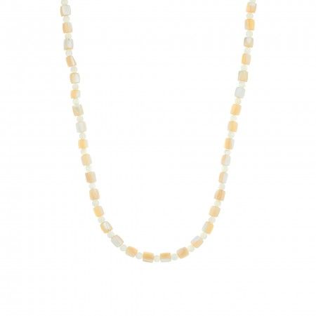 COLLAR muones