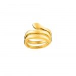 Ao Dourado