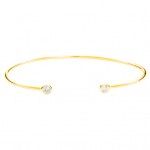 Gold Plated