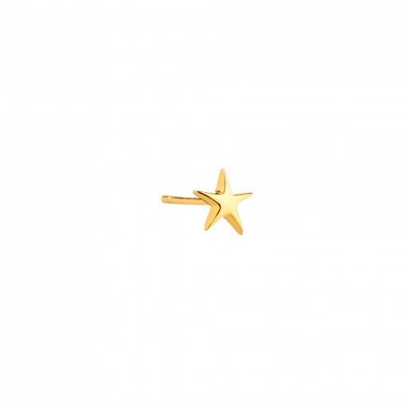 STAR SILVER EARRING