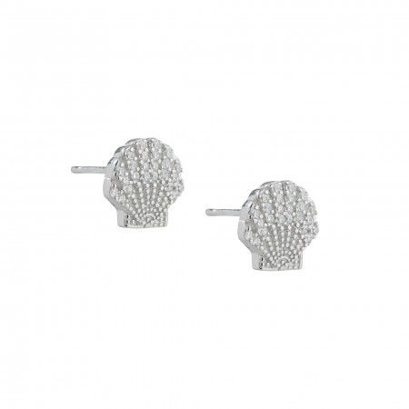 SHELL SILVER EARRINGS